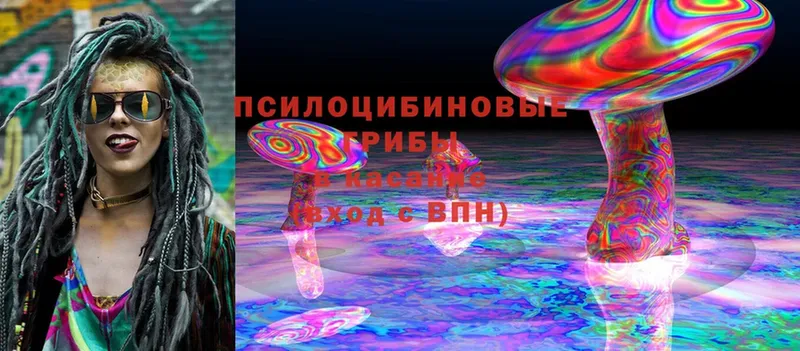 OMG зеркало  Данков  Галлюциногенные грибы Magic Shrooms 